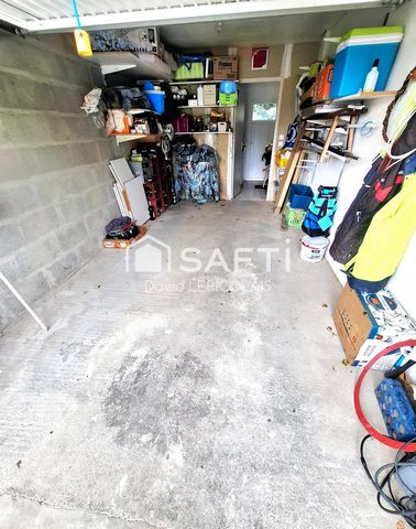photo no. 11