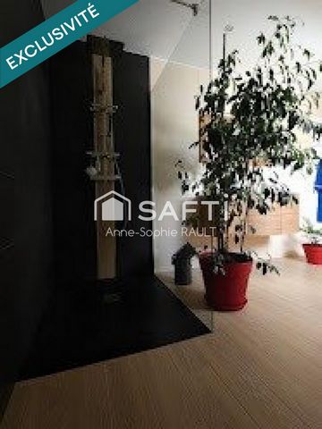photo no. 12