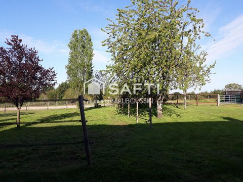 photo no. 8