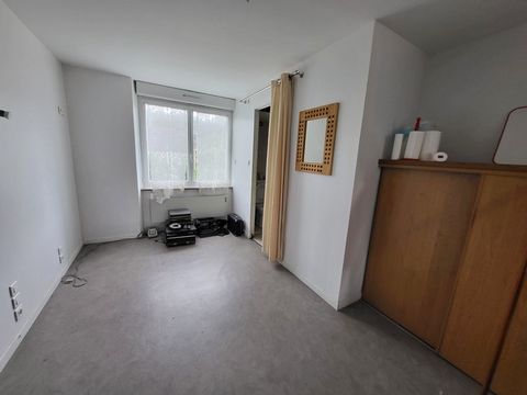 photo no. 2