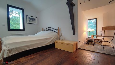 photo no. 15