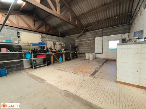 photo no. 12
