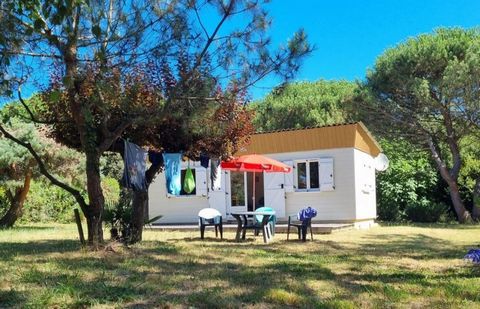 Maison bois 44 m² 2chs Terrasse, abrie de Jardin, Parcelle de 1674m²