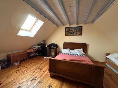 photo no. 8