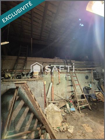 photo no. 9