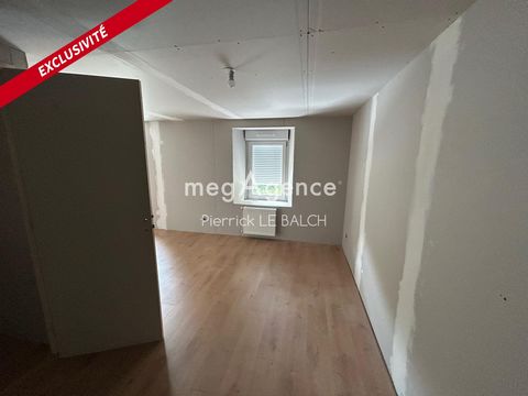 photo no. 12