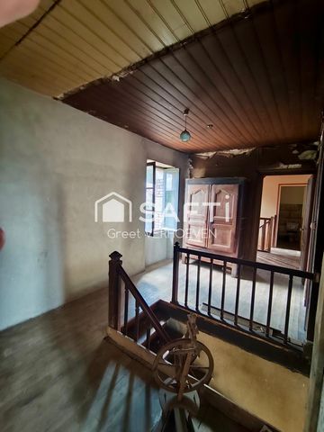 photo no. 11