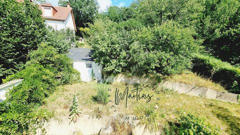 photo no. 14