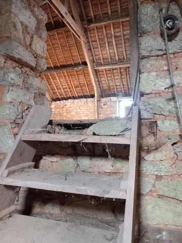 photo no. 14