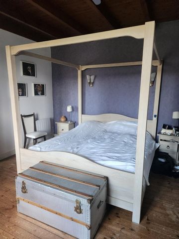 photo no. 11