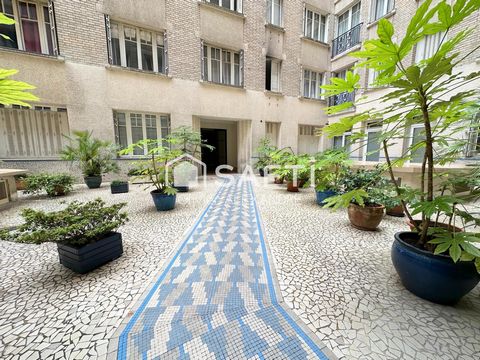 photo no. 11