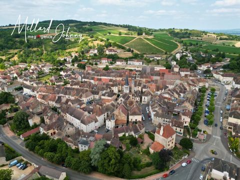 Appartement centre ville 2 pièces 44m2