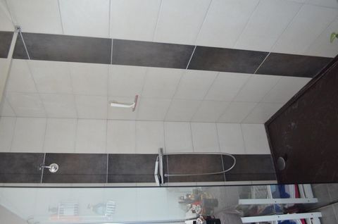 photo no. 12