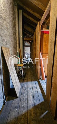 photo no. 12