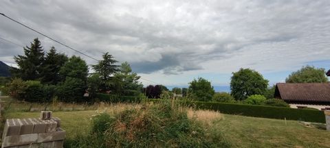 photo no. 2