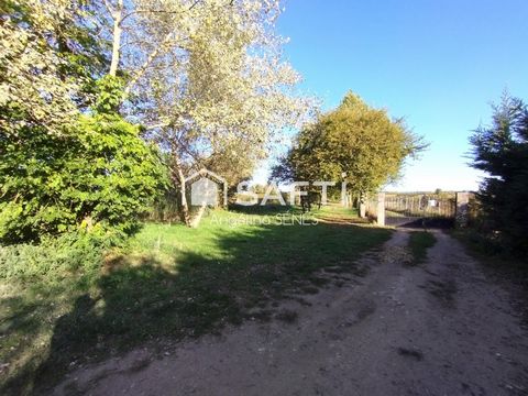 photo no. 15