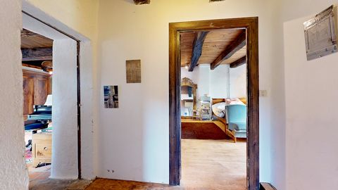 photo no. 11