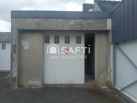 photo no. 6