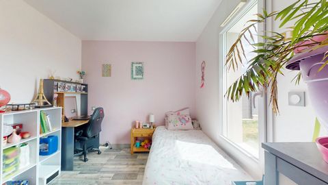photo no. 12