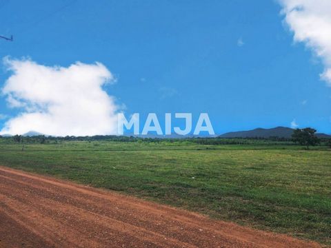 Rustige 9-rai (15.200 m²) grond te koop in Hua Hin, ideaal voor het bouwen van een privéwoning, tuin of kleine boerderij. Gelegen in een rustige en natuurlijke omgeving, biedt het pand een serene levensstijl midden in de natuur, maar toch is het slec...
