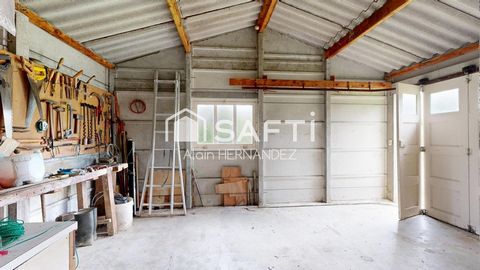 photo no. 13