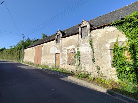 photo no. 9
