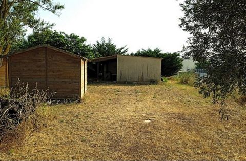 photo no. 2