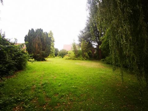 photo no. 5