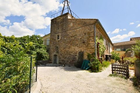 photo no. 2
