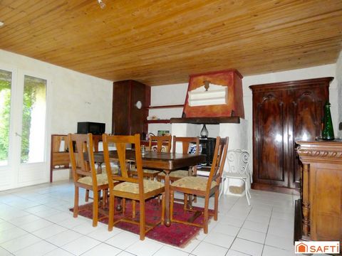photo no. 8