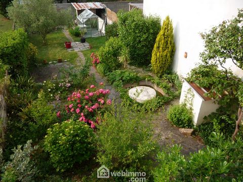 photo no. 12