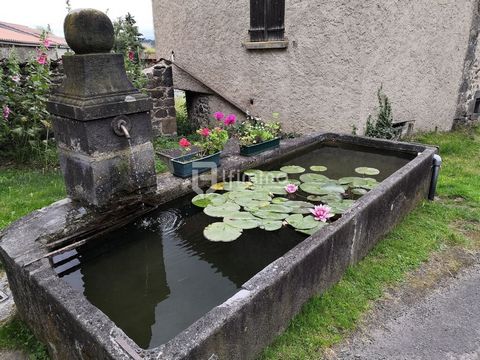 photo no. 27