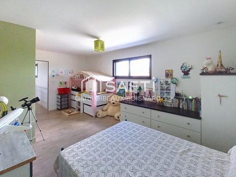 photo no. 12