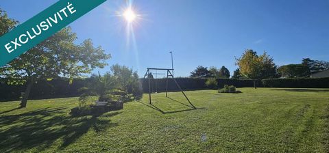 photo no. 13