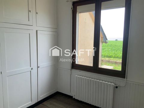 photo no. 8