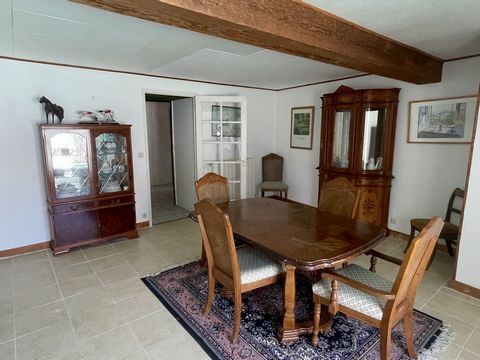 photo no. 8