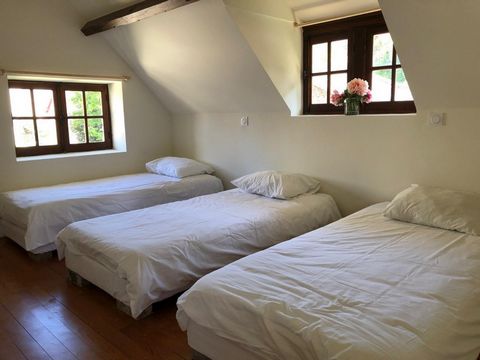 photo no. 15