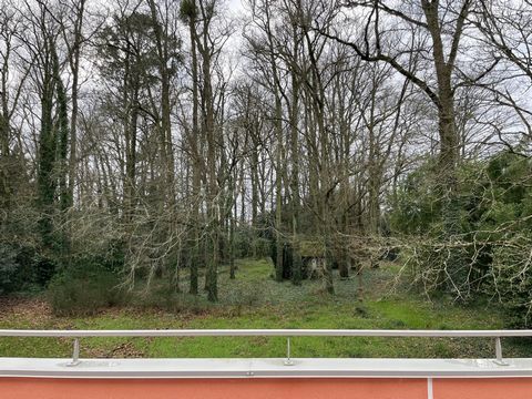 photo no. 17
