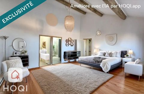 Appartement/Loft jonageois à 500m du centre