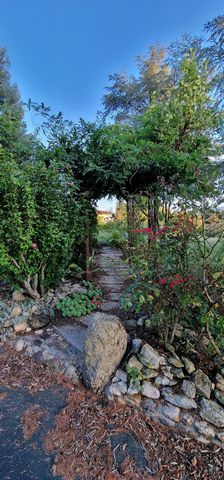 photo no. 15
