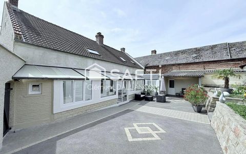 photo no. 8