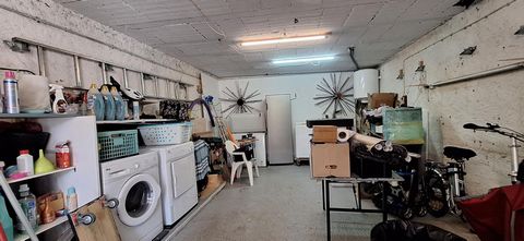 photo no. 12