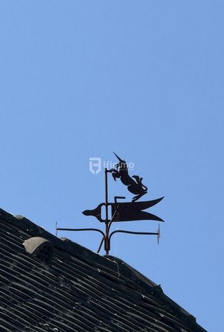 photo no. 15