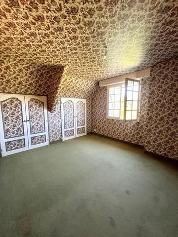 photo no. 4
