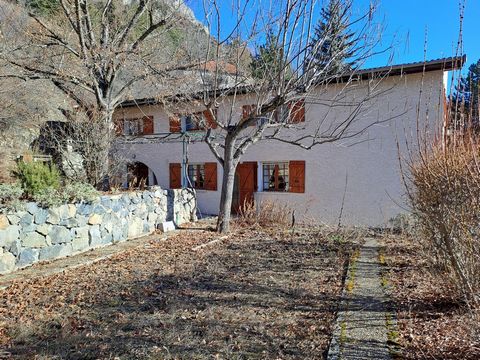 photo no. 11