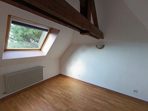 photo no. 15