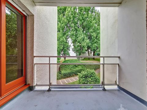 photo no. 9
