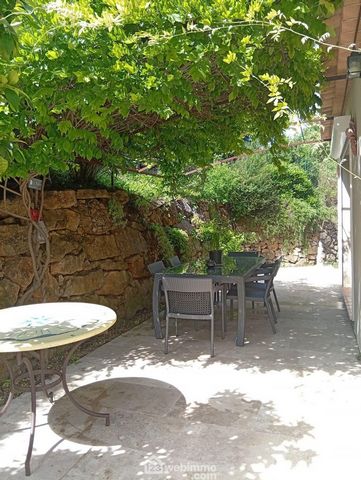 photo no. 11