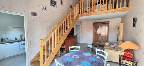 photo no. 17