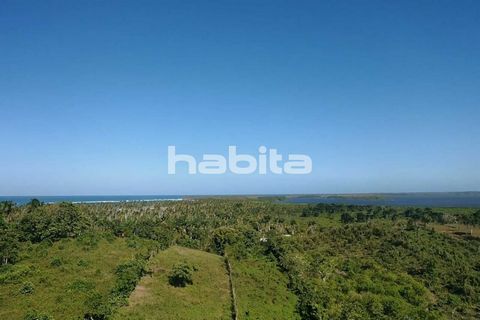 Build the villa of your dream here with an all around view, ocean, lake, mountain and a plantation as beautiful as a golf course. Land can be sold as half as well, you can also walk through the beautiful gld sand beach of Playa Limon.